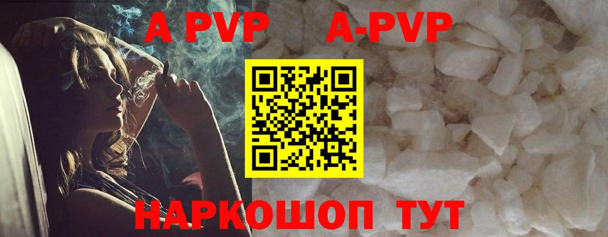 Alfa_PVP СК Архангельск