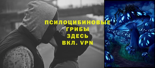 MESCALINE Корсаков