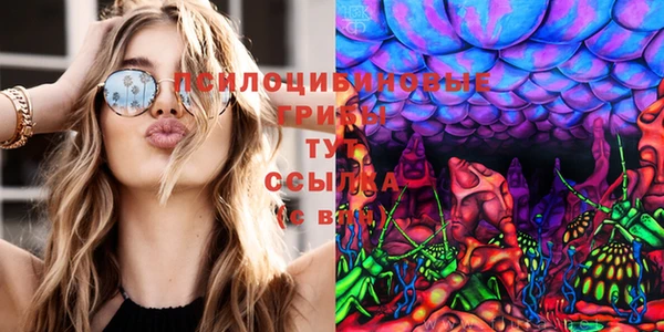 MESCALINE Корсаков