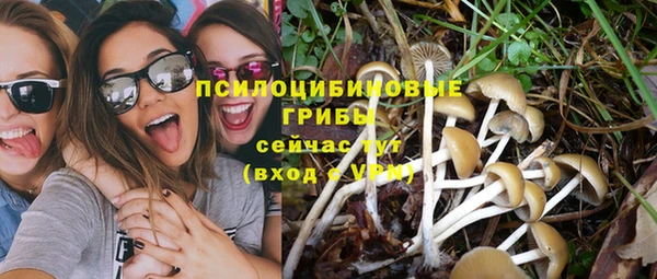 гидропоника Коряжма