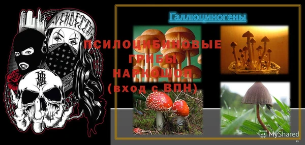 MESCALINE Корсаков
