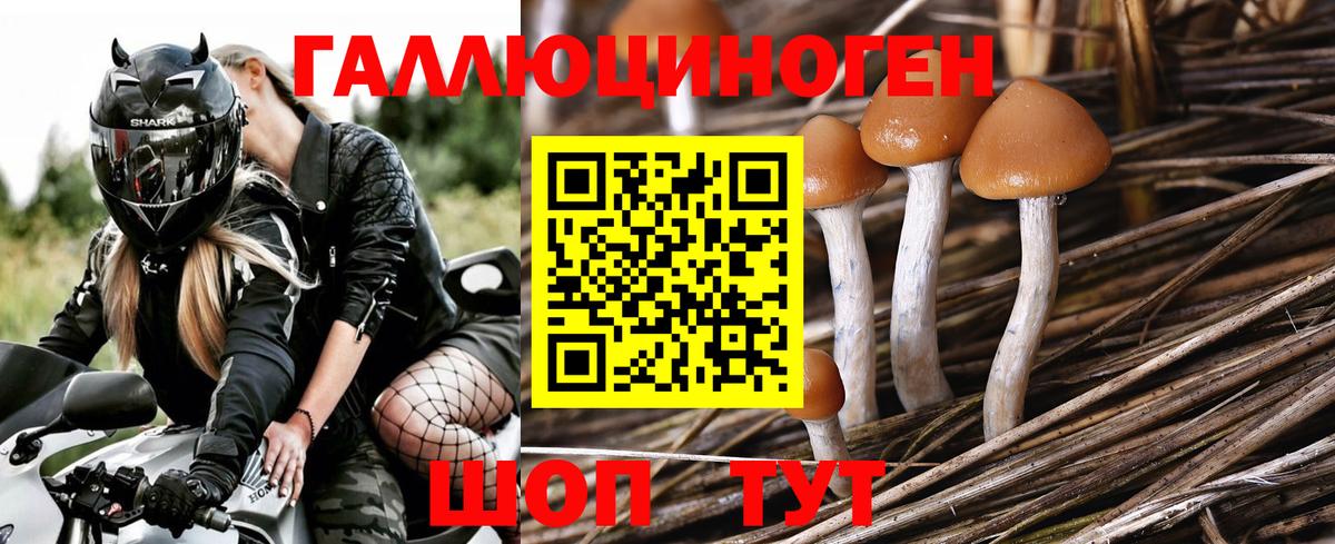 Галлюциногенные грибы Magic Shrooms  Вход с VPN  Галлюциногенные грибы MAGIC MUSHROOMS  Архангельск 
